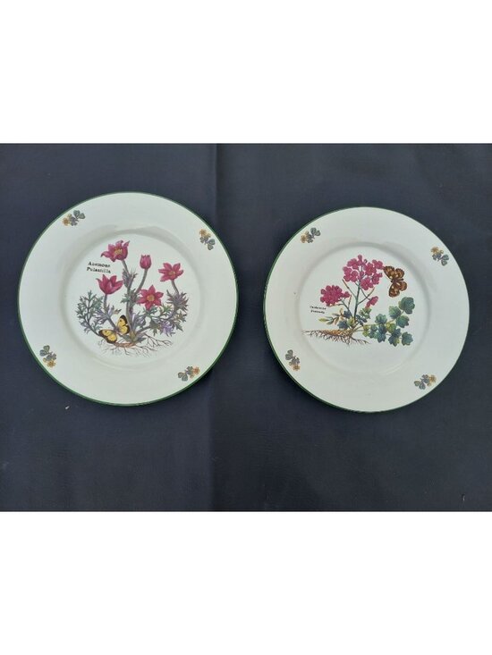 Royal Cuthbertson Other - 2 Royal Cuthbertson Florabunda 10 1/2" Dinner Plates, Cardamine & Anemone